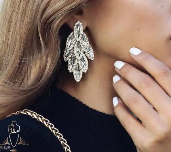 انواع گوشواره و کاربرد آن ها