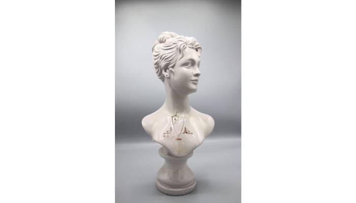 سفارش آنلاین مانکن طلافروشی